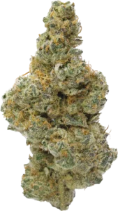 Campfire Gas Flower 7g