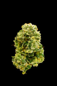 Matanuska Thunder F#*k Sativa Flower 28g