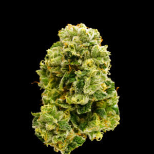 Matanuska Thunder F#*k Sativa Flower 28g